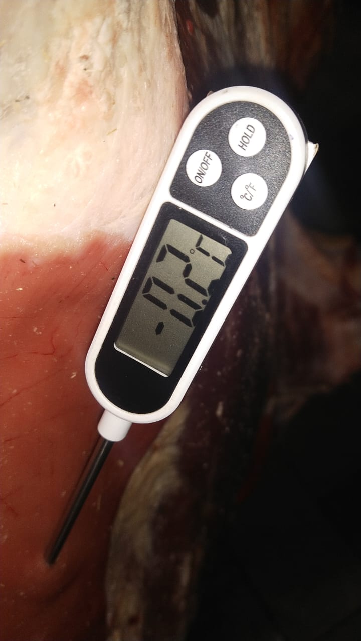 Halal chilled meat core temperature probe verification Pakistan export