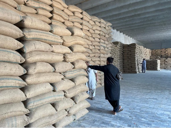 Pakistan rice mill direct access Punjab grain storage bags export